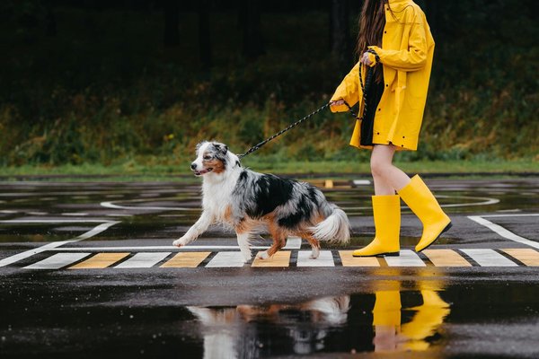 Pourquoi opter pour un manteau impérméable ?